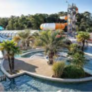 Réceptionniste Stagiaire